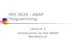 MIS 3020 - ABAP Programming Lecture 1 Introduction to the ABAP Workbench.