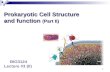 Prokaryotic Cell Structure and function (Part II) Prokaryotic Cell Structure and function (Part II) BIO3124 Lecture #3 (II) 1.