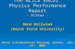 The ALICE EMCal Physics Performance Report - Status - Rene Bellwied (Wayne State University) EMCal Collaboration Meeting, Nantes, July 16 th, 2008.
