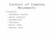Control of Complex Movements Involve –Cerebral Cortex –Basal Ganglia –Cerebellum –Thalamus –Brain Stem –Spinal Cord.