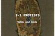 3-1 PROTISTS “Odds and Ends”. A. Animal-like (Protozoan) Called this because they are heterotrophs and can move.
