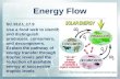 Energy Flow SC.912.L.17.9 Use a food web to identify and distinguish producers, consumers, and decomposers. Explain the pathway of energy transfer through.