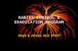RABIES CONTROL & ERADICATION PROGRAM Ninfa R. Ambat, M.D. FPAFP.