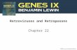 Retroviruses and Retroposons Chapter 22. 2 22.1 Introduction Figure 22.1.