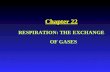 Chapter 22 RESPIRATION: THE EXCHANGE OF GASES. Human Respiratory System Functions: u Works closely with circulatory system, exchanging gases between air.
