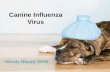Canine Influenza Virus Wendy Blount, DVM. Kennel Cough A low level of upper respiratory infection is common at any shelter or kennel –Vaccine not available.