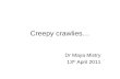 Creepy crawlies… Dr Maya Mistry 13 th April 2011.