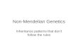 Non-Mendelian Genetics Inheritance patterns that don’t follow the rules.