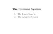 The Immune System 1.The Innate System 2.The Adaptive System.