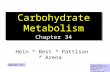 1 Carbohydrate Metabolism Chapter 34 Hein * Best * Pattison * Arena Colleen Kelley Chemistry Department Pima Community College © John Wiley and Sons, Inc.