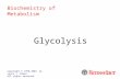 Glycolysis Copyright © 1998-2004 by Joyce J. Diwan. All rights reserved. Biochemistry of Metabolism.