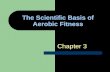 The Scientific Basis of Aerobic Fitness Chapter 3.
