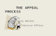 THE APPEAL PROCESS Barry Walter VFW Service Office.
