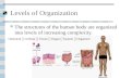 Levels of Organization The structures of the human body are organized into levels of increasing complexity. Chemical  Cellular  Tissue  Organ  System.