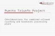 Puerto Triunfo Project Considerations for combined oilseed crushing and biodiesel processing plant.
