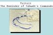 Tzitzit The Reminder of Yahweh’s Commands. An Offering By Fire.