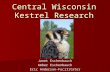 Central Wisconsin Kestrel Research Janet Eschenbauch Amber Eschenbauch Eric Anderson-Facilitator.