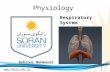 Www.soran.edu.iq Physiology Behrouz Mahmoudi Respiratory System 1.