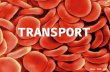 TRANSPORT . Adaptations for Transport TRANSPORT: It is the process by which substances move into or out cells or are distributed within cells.