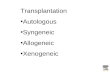Transplantation Autologous Syngeneic Allogeneic Xenogeneic.