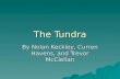 The Tundra By Nolan Keckley, Curren Havens, and Trevor McClellan