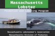 All photos: E. Burke Massachusetts Lobstermen’s Association Massachusetts Division of Fisheries Massachusetts Lobster Promotion and Labeling Program.