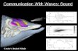 Communication With Waves: Sound Cuvier’s Beaked Whale