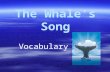 The Whale’s Song Vocabulary Vocabulary. Wondrous  Adjective  Means wonderful, amazing, or amazing, or remarkable0.3 remarkable0.3 Whales are wondrous.