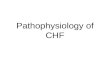 Pathophysiology of CHF. CHF What is CHF? Fix the underlying problem Heart is a 2 sided pump Both sides can fail independent of each other.