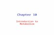Chapter 10 Introduction to Metabolism. Metabolism The sum of the chemical changes that convert nutrients into energy and the chemically complex products.