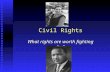 Civil Rights What rights are worth fighting for?.