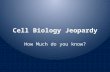 Cell Biology Jeopardy How Much do you know?. How are eukaryotic cells differentiated from prokaryotic cells?