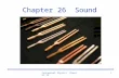Conceptual Physics Chapter 261 Chapter 26 Sound Conceptual Physics Chapter 262 The Origin of Sound ¤All sound waves are produced by the vibration of.