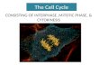 The Cell Cycle CONSISTING OF INTERPHASE,MITOTIC PHASE, & CYTOKINESIS.