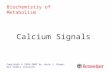 Calcium Signals Copyright © 1999-2007 by Joyce J. Diwan. All rights reserved. Biochemistry of Metabolism.