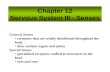 Chapter 12 Nervous System III - Senses General Senses receptors that are widely distributed throughout the body skin, various organs and joints Special.