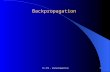 CS 478 – Backpropagation1 Backpropagation. 2 3 4.