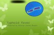 Typhoid fever Presented by Abhinay Sharma Bhugoo.