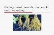 Using root words to work out meaning. Instructions  Get out your vocabulary books  Turn to the back  Write the title ‘ Roots Words ’  ….then write.
