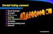 Dental luting cement Bond Strength Strength Flow (viscosity) Wetting Film thickness (