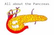 All about the Pancreas. A.You start by eating a meal containing carbohydrates. B.These carbohydrates are turned into glucose. The glucose is absorbed.