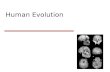 Human Evolution. In 1871, Darwin made it clear in “The Descent of Man” that his argument about descent with modification applied to humans as well as.
