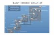 EARLY HOMINID EVOLUTION:.  modules/top_longfor/timeline/01_notes_defin itions.html.