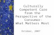Culturally Competent Care from the Perspective of the Consumer: What Matters Most October, 2007.