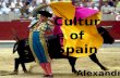 Culture of Spain Alexandra Nyilas. SPAIN spectacular and diverse country.