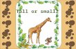 Tall or small?. By Carolyn WilhelmCarolyn Wilhelm Licensed Graphics from The Graphics Factory Wise Owl Factory Licensed Graphics from DigiScraps Studios.