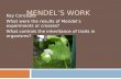 MENDEL’S WORK Key Concepts What were the results of Mendel’s experiments or crosses? What controls the inheritance of traits in organisms?