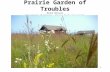 Prairie Garden of Troubles Bruno Borsari Department of Biology, Winona State University 1.
