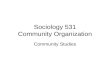 Sociology 531 Community Organization Community Studies.