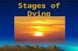 Stages of Dying. Test Review Cause of most fear How to face fear – how related to Thanatology 4 Categories of Fear 3 of 4 things that dealing with death.